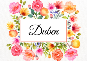 DUBEN V MŠ